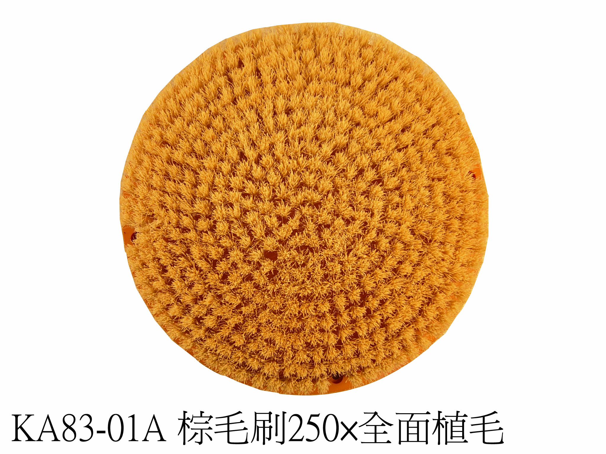 Brown Brush 250φ (by American Aloe Fiber)
